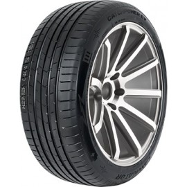 LANVIGATOR 255/35ZR21 98W...